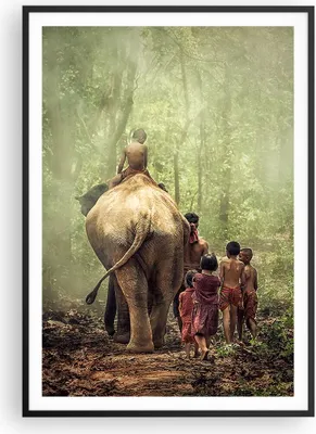 Produktbild von Gerahmtes Poster - Schwarzer Rahmen - Elefant Dschungel Nebel - 70x100 cm - Wand Bild - Wanddeko - Wandbilder - Wandposter - Bilderrahmen - Bilder - Kunstdruck - Wandbild - P2BPA70x100-3438