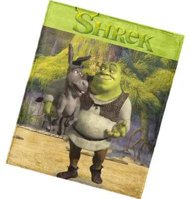 Immagine prodotto di Coperta per bambini Shrek e Ciuchino 130x160 cm