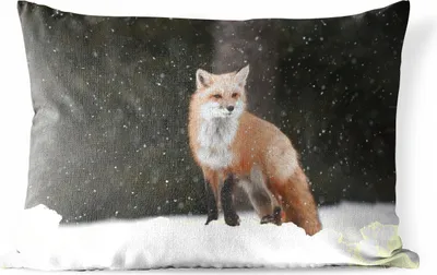 Produktbild von MuchoWow® Outdoor Kissen - Fuchs - Schnee - Winter - 60x40 cm - Wetterfest - Lounge Kissen - Zierkissen - Kissen für Innenräume