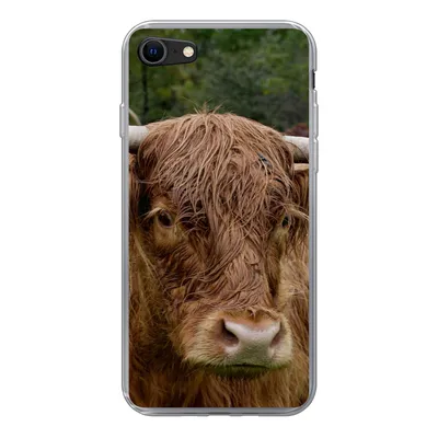 Produktbild von MuchoWow® Handyhülle Schutzhülle Hülle für iPhone SE 2020 Schottische Highlander - Tiere - Gras Silikon Softcase Handy Hülle - Kartenbesitzer