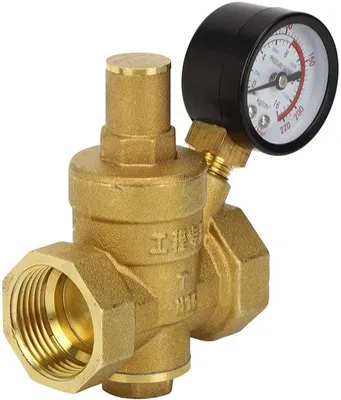 Immagine prodotto di Regolatore di pressione dell'acqua in ottone, 1,6 MPa - Regolabile - DN25 - Regolatore di pressione dell'acqua con manometro - Lunghezza 76 mm
