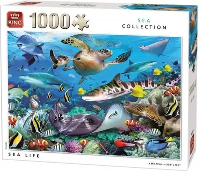 Obrázek produktu pro Puzzle Mořský svět 1 000 dílků.