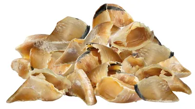 Produktbild von 25 Stück Kalbshufe - Beschäftigung und Zahnpflege - Schecker Hundekausnack
