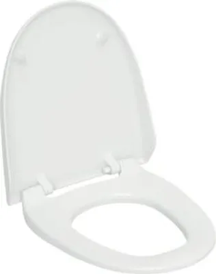 Produktbild von Geberit 250034EP1 WC-Sitz und WC-Deckel pergamon