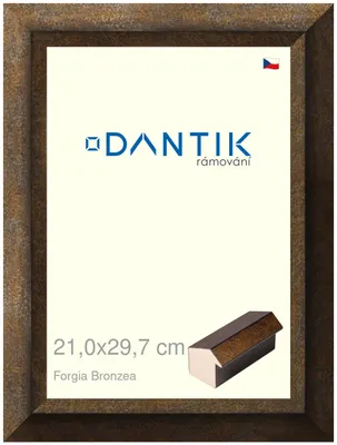 Zdjęcie produktu dla Ramka DANTIK 21x29,7 | Forgia Bronzea (szkło przezroczyste)