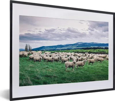 Produktbild von MuchoWow® MuchoWow® Gerahmtes Poster Schafe - Himmel - Landschaft 40x30 cm - Poster mit zchwarzem Bilderrahmen - Bilderrahmen - Poster im Rahmen