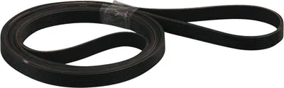 Produktbild von Europart Keilrippenriemen 1904 PH 7 E wie IGNIS 481935818156 für Trockner