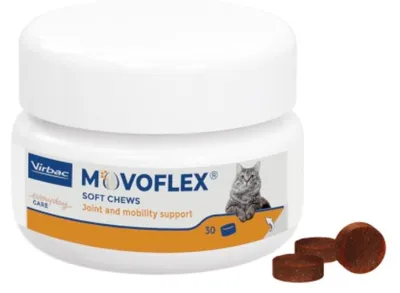 Produktbild von Movoflex-Chat