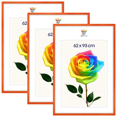 Produktbild von MG Design 3er Set Bilderrahmen Orange 62x93 cm - Posterrahmen Echtholz mit Acrylglas, verstärkte Wandaufhängung, hoch/quer