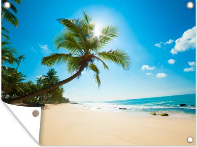 Produktbild von MuchoWow® 80x60 cm Outdoor-Poster Gartendeko Sichtschutz Garten Poster für den Garten  Strand - Meer - Sonne - Palme
