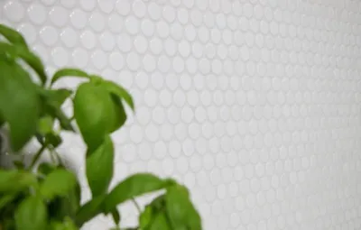 Produktbild von Knopfmosaik LOOP Rundmosaik weiß glänzend Wand Küche Dusche BAD MOS10-0102_f | 10 Mosaikmatten