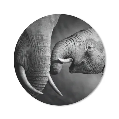 Produktbild von MuchoWow® Mauspad Mousepad Wildtiere - Elefant - Schwarz - Weiß - Porträt 20x20 cm - Mousepads - Maus Mat - Pad - Mausunterlage - Schreibtischmatte