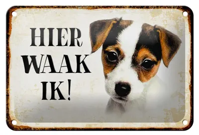 Produktbild von Blechschild Spruch 18x12cm holländisch Hier Waak ik Jack Russell Terrier Puppy