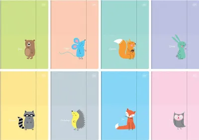 Image de Interdruk classeur à anneaux élastiques A4+ BeBe Kids pastel 1pc