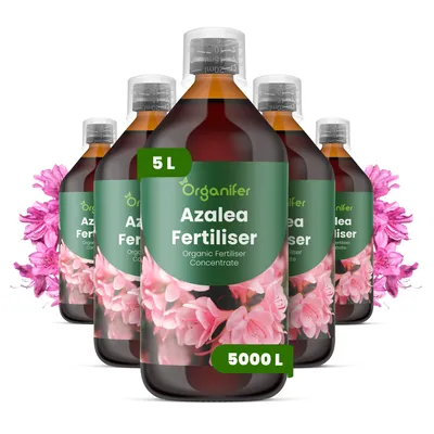 Obrázok produktu pre Azalka, tekuté hnojivo, 5 x 1 liter – vzorec NPK 3-4-3 – pre kvitnúce rastliny – pre bohaté kvitnutie a silné korene – podporuje vitalitu a zdravé listy – organické