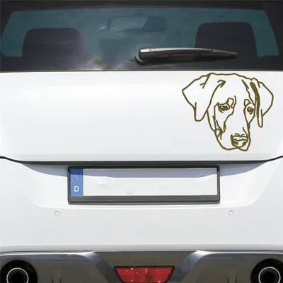 Produktbild von Auto Aufkleber Labrador LABI Labbi Hund Dog Hundekopf Hundefreund 15x13 cm Gold Sticker Heckscheibenaufkleber