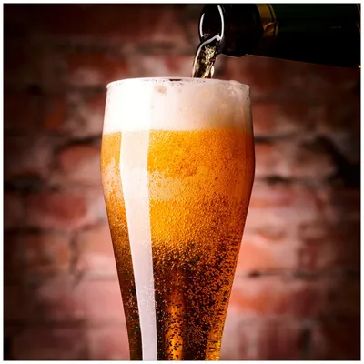 Produktbild von Wallario Sticker / Aufkleber für Kühlschrank / Geschirrspüler / Küchenschränke, selbstklebende Folie - 60 x 60 cm, Motiv: Frisches Pils