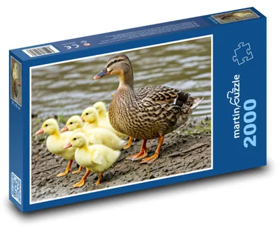 Obrázok produktu pre martinpuzzle – Puzzle 2000 – Kacka a kaciatka