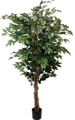 Produktbild von Kopu® Kunstpflanze Ficus Benjamina 150 cm im schwarzen Topf – 1764 Blätter