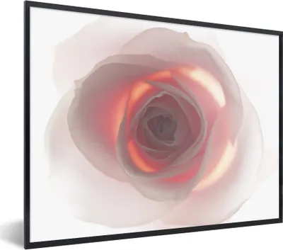 Produktbild von MuchoWow® MuchoWow® Gerahmtes Poster Nahaufnahme einer rosa Rose 80x60 cm - Poster mit zchwarzem Bilderrahmen - Schwarzem - Mit Gestell