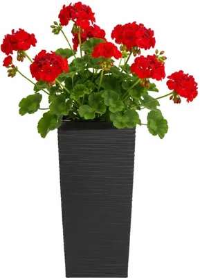 Produktbild von HowHomely | Blumentopf - Übertopf - schwarz - B19xH37 cm - Pflanzgefäß - Blumenkübel - Rillenstruktur
