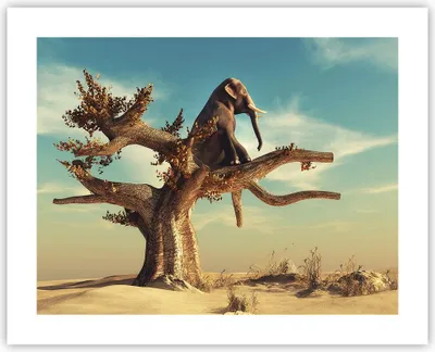 Produktbild von Poster - Poster ohne Rahmen - Sitzen Elefant Baum - 50x40 cm - Wand Bild - Wanddeko - Wandbilder - Kunstposter - Wandposter - Bilder - Kunstdruck - Wanddekoration - Wandbild - P2XAA50x40-4345