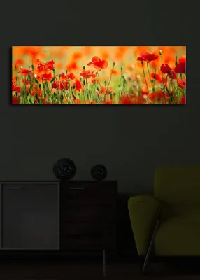 Obrázek produktu pro Opviq, 3090İACT- SHN1213, Barevné, Výtisky na plátně, 30 x 90 cm, 100% semišové plátno