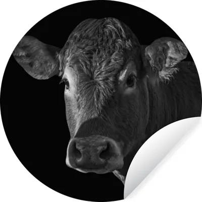 Produktbild von MuchoWow® Runde Wandtattoo - Wandsticker Tapete Aufkleber Kuh - Tiere - Schwarz - Weiß - Porträt Ø 30 cm Selbstklebend und Repositionierbar - Wandaufkleber - Kreis - Wandbild - Fototapete - Selbstklebend - Dekoration - Wandschmuck - Schlafzimmer