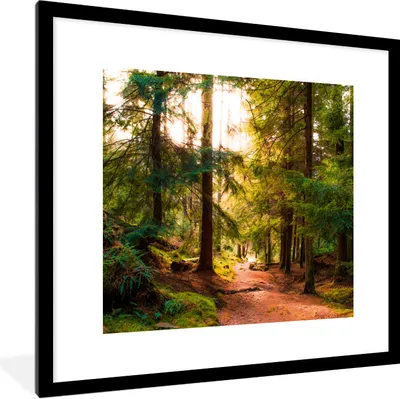 Produktbild von MuchoWow® Gerahmtes Poster Wald - Weg - Bäume - Grün - Sonne - Natur 40x40 cm - Poster mit Schwarzem Bilderrahmen Wandposter Rahmen Foto Bilder - Poster - Plakat im Rahmen
