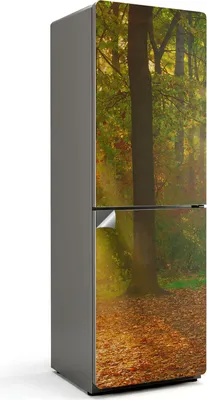 Produktbild von Zauberhafte Waldlandschaft – Kühlschrank Aufkleber – Klebefolie Kühlschrank – Kühlschrank Nachbildung – Kühlschrankfolie selbstklebend – Küchen Dekoration – 60x180 cm