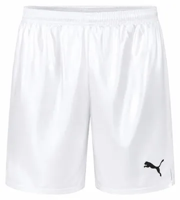 Produktbild von S|PUMA Game Herren Shorts 900410-13