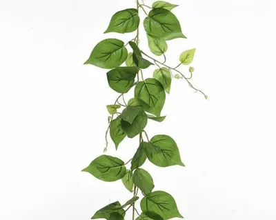 Produktbild von Decoris Efeu - grun - Girlande - 220 cm