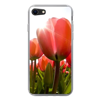 Produktbild von MuchoWow® Handyhülle Schutzhülle Hülle für iPhone SE 2020 Blumen - Tulpen - Sonne Silikon Softcase Handy Hülle - Kartenbesitzer