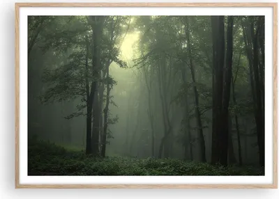 Produktbild von Gerahmtes Poster - Rahmen in heller Eiche - Wald Nebel Baum - 100x70 cm - Wand Bild - Wanddeko - Wandbilder - Wandposter - Bilderrahmen - Bilder - Kunstdruck - Wandbild - P2NAA100x70-3543