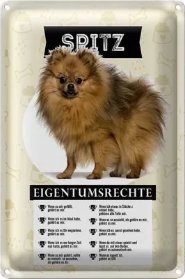 Produktbild von Blechschild 18x12cm Spitz Eigentumsrechte