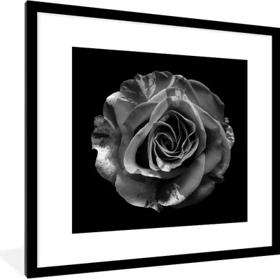 Produktbild von MuchoWow® Gerahmtes Poster Blumen - Rose - Schwarz - Weiß - Botanisch 40x40 cm - Poster mit Schwarzem Bilderrahmen Wandposter Rahmen Foto Bilder - Poster - Plakat im Rahmen