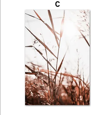 Produktbild von TPFLiving Kunstdruck LW-1727 (OHNE RAHMEN) Poster - Leinwand - Wandbild - Hochauflösender Giclée-Druck, langlebig und hochwertig - Romantische Herbstlandschaft -  - Größe: 10x15cm