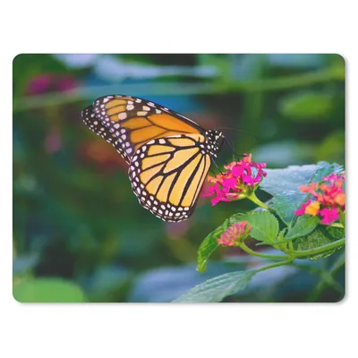 Produktbild von MuchoWow® Mauspad Mousepad Schmetterlinge - Blume - Natur 40x30 cm - Mousepads - Maus Mat - Pad - Mausunterlage - Anti Rutsch