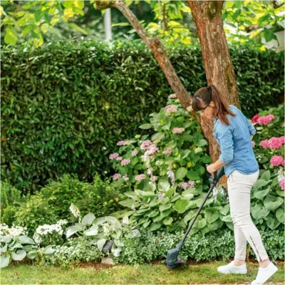 Immagine prodotto di Tagliabordi elettrico Bosch Easy Grass CUT 23
