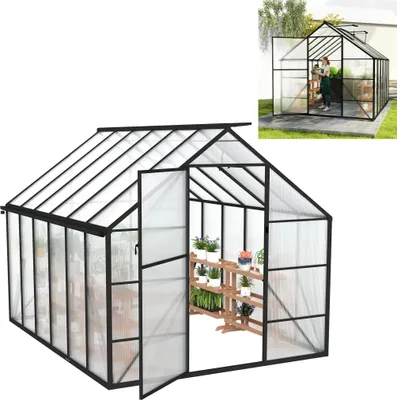 Image de XMTECH serre aluminium 7,75² 310×250×205 cm y compris fenêtre de toit serre serre abri de jardin primeur maison de plantes culture