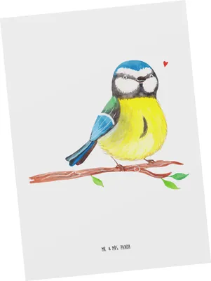 Produktbild von Mr. & Mrs. Panda Postkarte Vogel Blaumeise - Weiß - Geschenk, Ostern, Ostergeschenke, Postkarten, Ostergrüße, einzelkarte, Frühling, Grußkarte, Ansichtskarte, Osterhase
