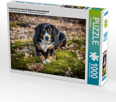 Produktbild von CALVENDO Puzzle Herbstlich mit dem Entelbucher Sennenhund | 1000 Teile Lege-Größe 64x48cm Foto-Puzzle für glückliche Stunden