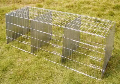 Produktbild von Freigehege Freilauf