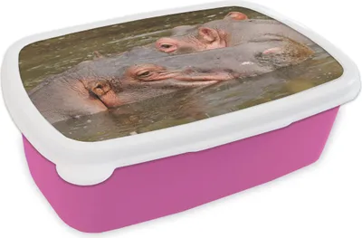 Obrázok produktu pre KitchenYeah® Lunchbox Obedový box 17x11 cm hroch - voda - príroda detský obedový box - obedový balíček - chlebník - sendvičový box