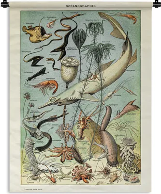 Produktbild von MuchoWow® Wandteppich Wandbehang Tiere - Meer 150x200 cm Tapisserie Dekoration Wandtuch - Wandaufhängung - Moderner