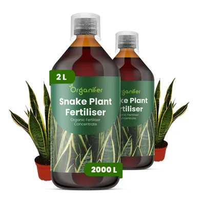 Obrázok produktu pre Tekuté hnojivo pre sanseviériu, 2x 1 liter – vzorec NPK 2-1-8 – vhodné pre sukulenty a izbové rastliny – pre silné listy a zdravé korene – organické