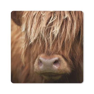 Produktbild von MuchoWow® Mauspad Mousepad Schottischer Highlander - Nase - Haare 20x20 cm - Mousepads - Maus Mat - Pad - Mausunterlage - Desk Mat - Bureauartikeln