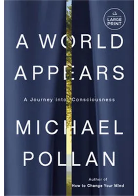 Produktbild von A World Appears