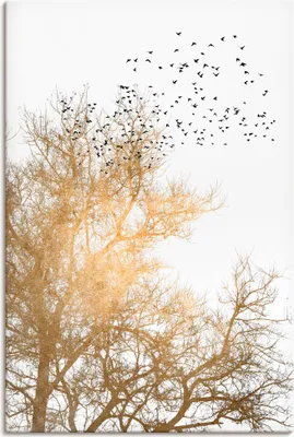 Produktbild von ARTland Leinwandbild Goldener Himmel Größe: 40x60 cm