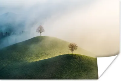 Produktbild von MuchoWow® Poster Bäume auf Hügeln in der Schweiz 180x120 cm - Fotoplakat